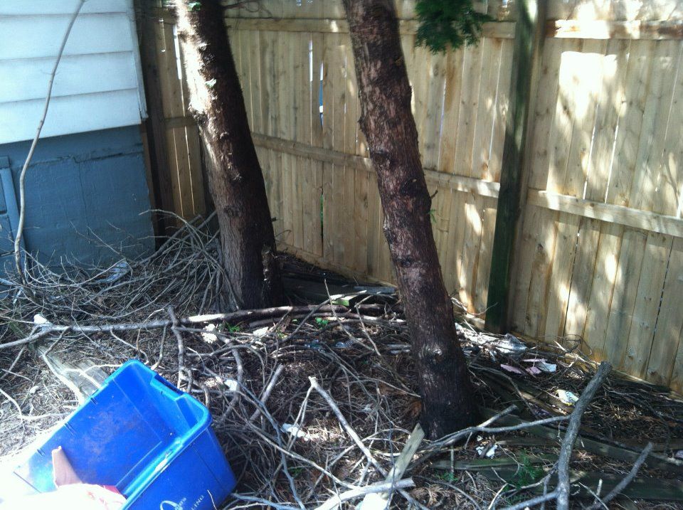 photo 527231_10151016924542285_899059878_n.jpg